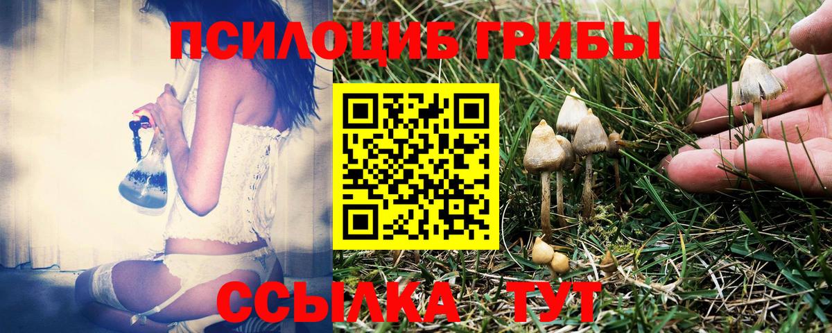 Галлюциногенные грибы Psilocybine cubensis Корсаков